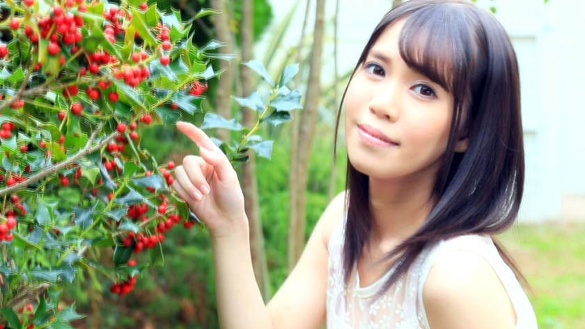 渡菜
